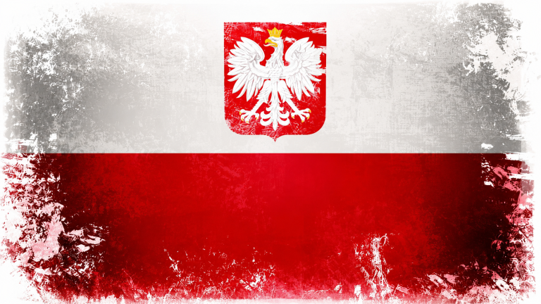 Read more about the article DZIEŃ FLAGI RP